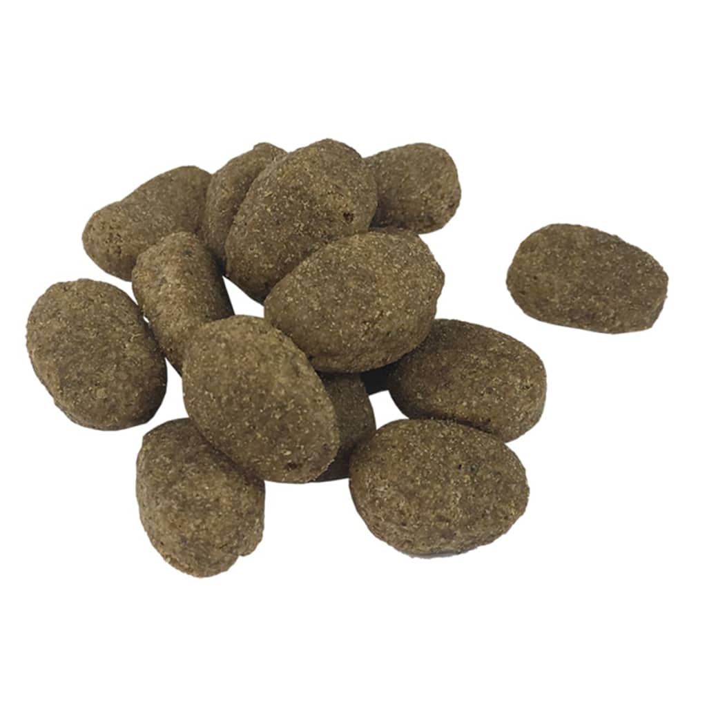 Premium Hundmat torr Adult Sensitive Lamb & Rice
