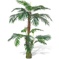 Konstväxt Findadelpalm