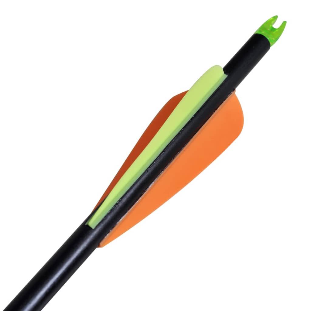 Compoundbåge Med Tillbehör Och Pilar I Glasfiber