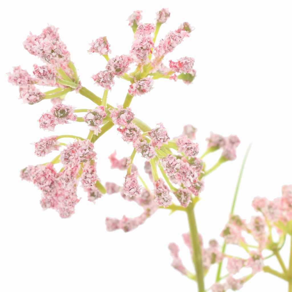 Konstgjord Flora