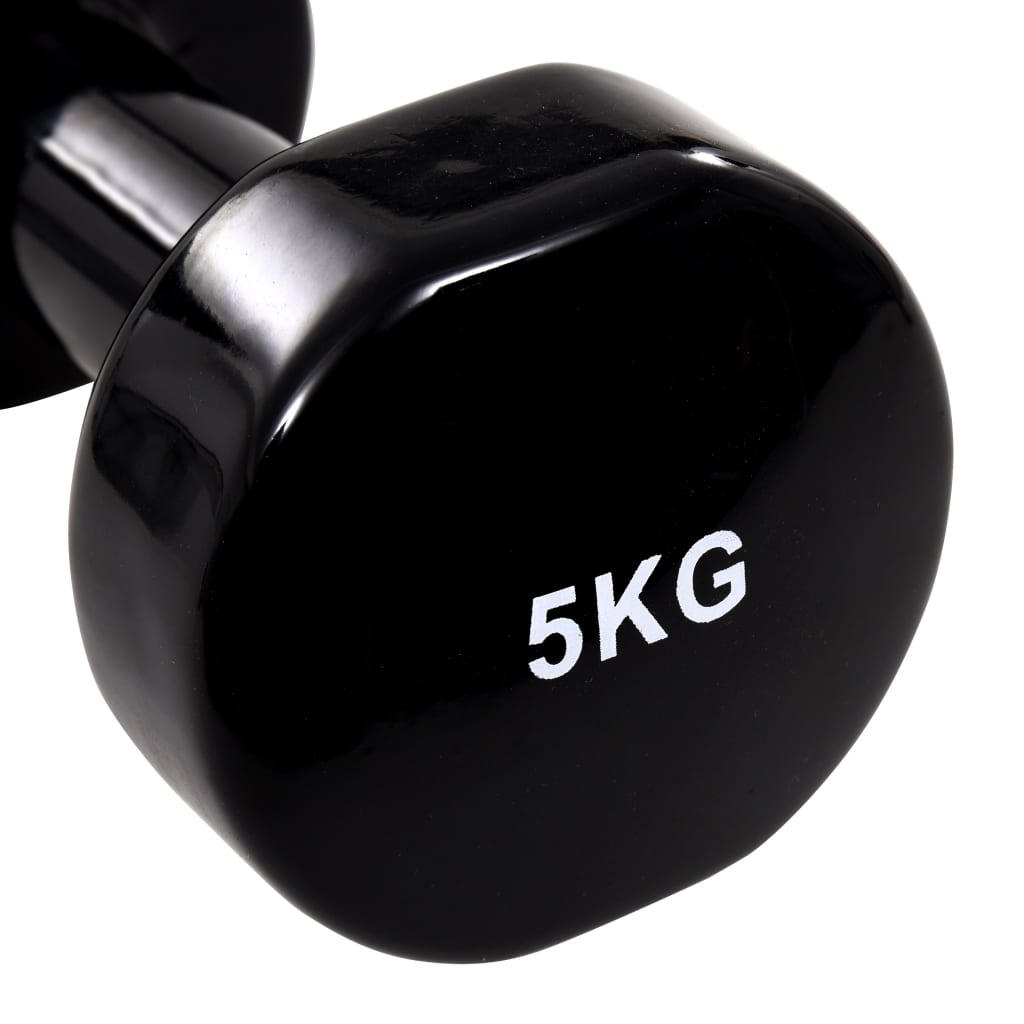 Hantlar kg gjutjärn