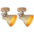 Industriell Vägglampa och Taklampa Mässing E27