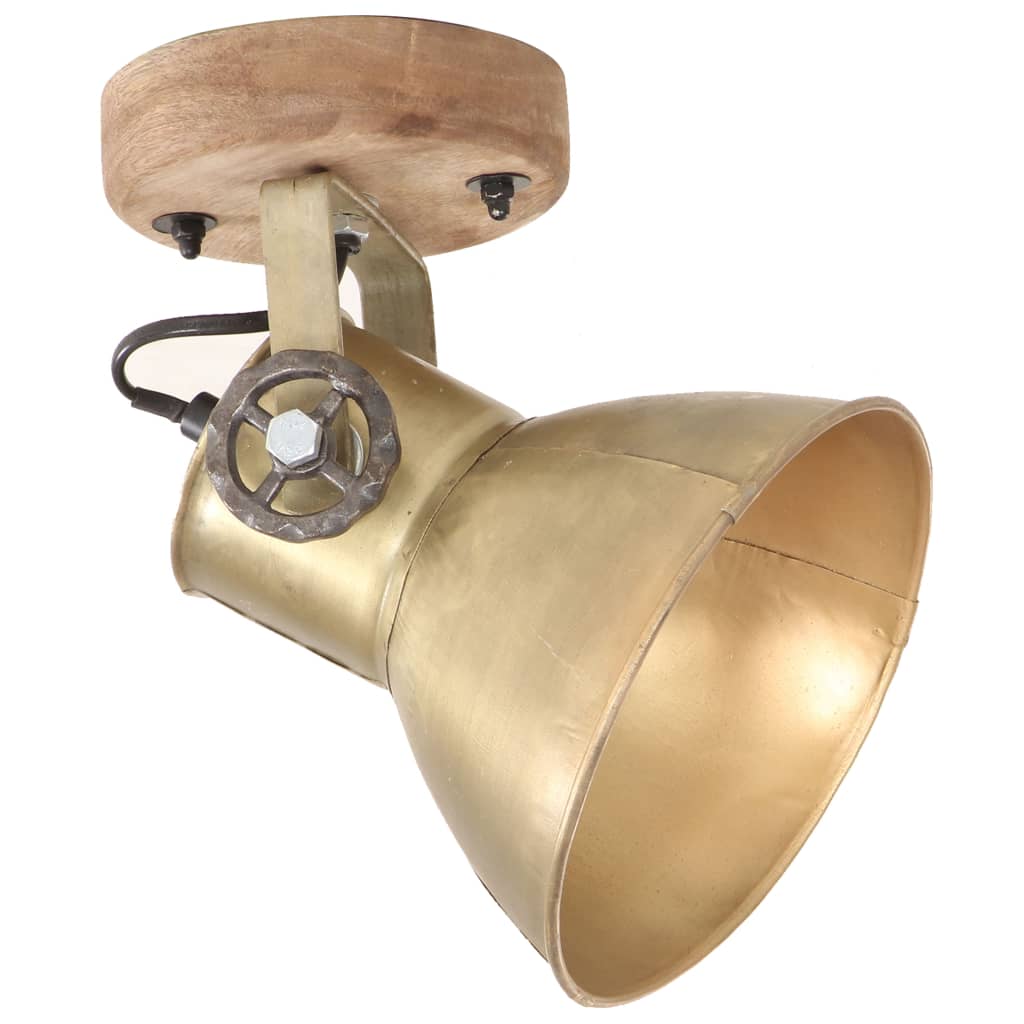 Industriell Vägglampa och Taklampa Mässing E27