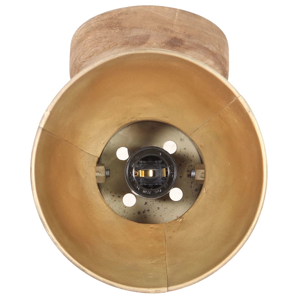 Industriell Vägglampa och Taklampa Mässing E27