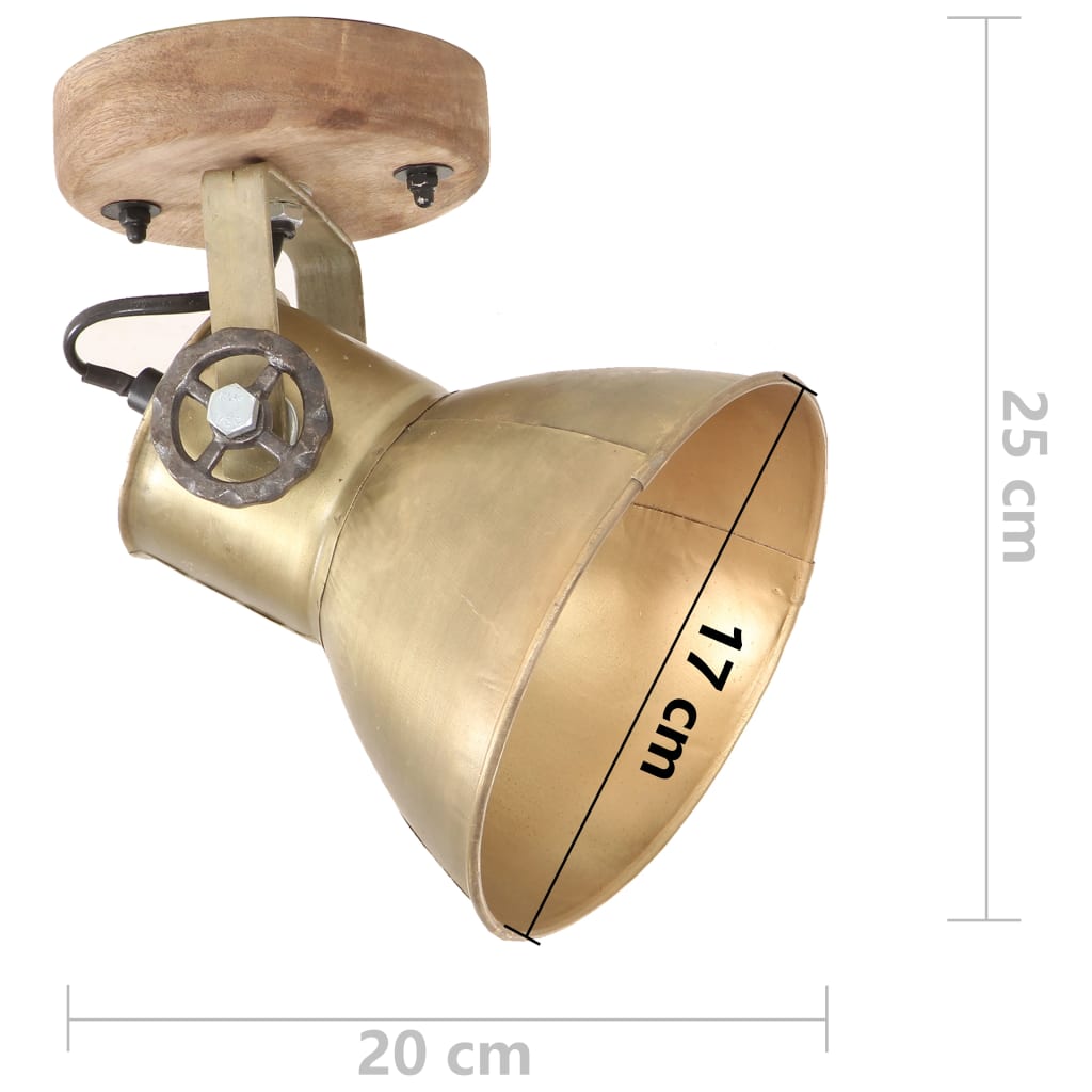 Industriell Vägglampa och Taklampa Mässing E27