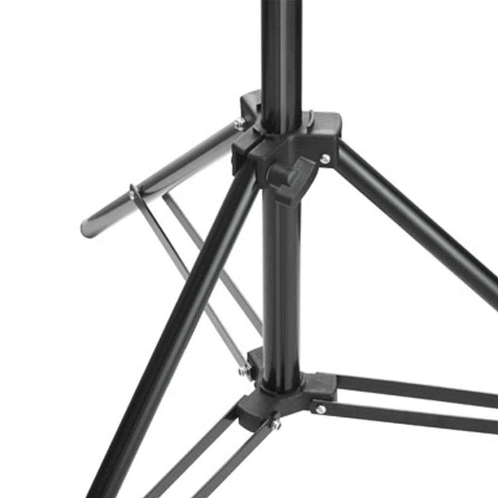 Fotostudio Med Bakgrunder, Lampor Och Paraplyer