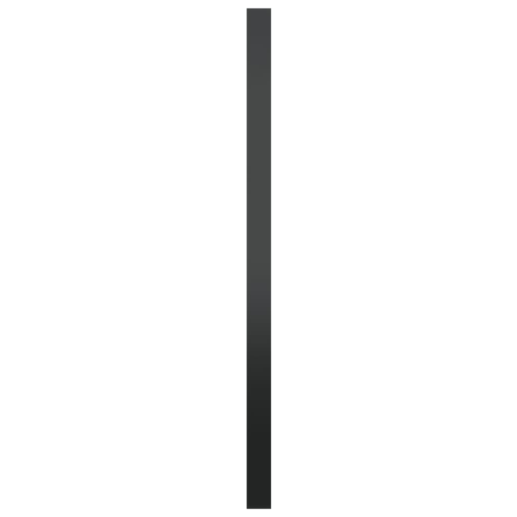 Väggspegel Svart 100x40 Cm Metall