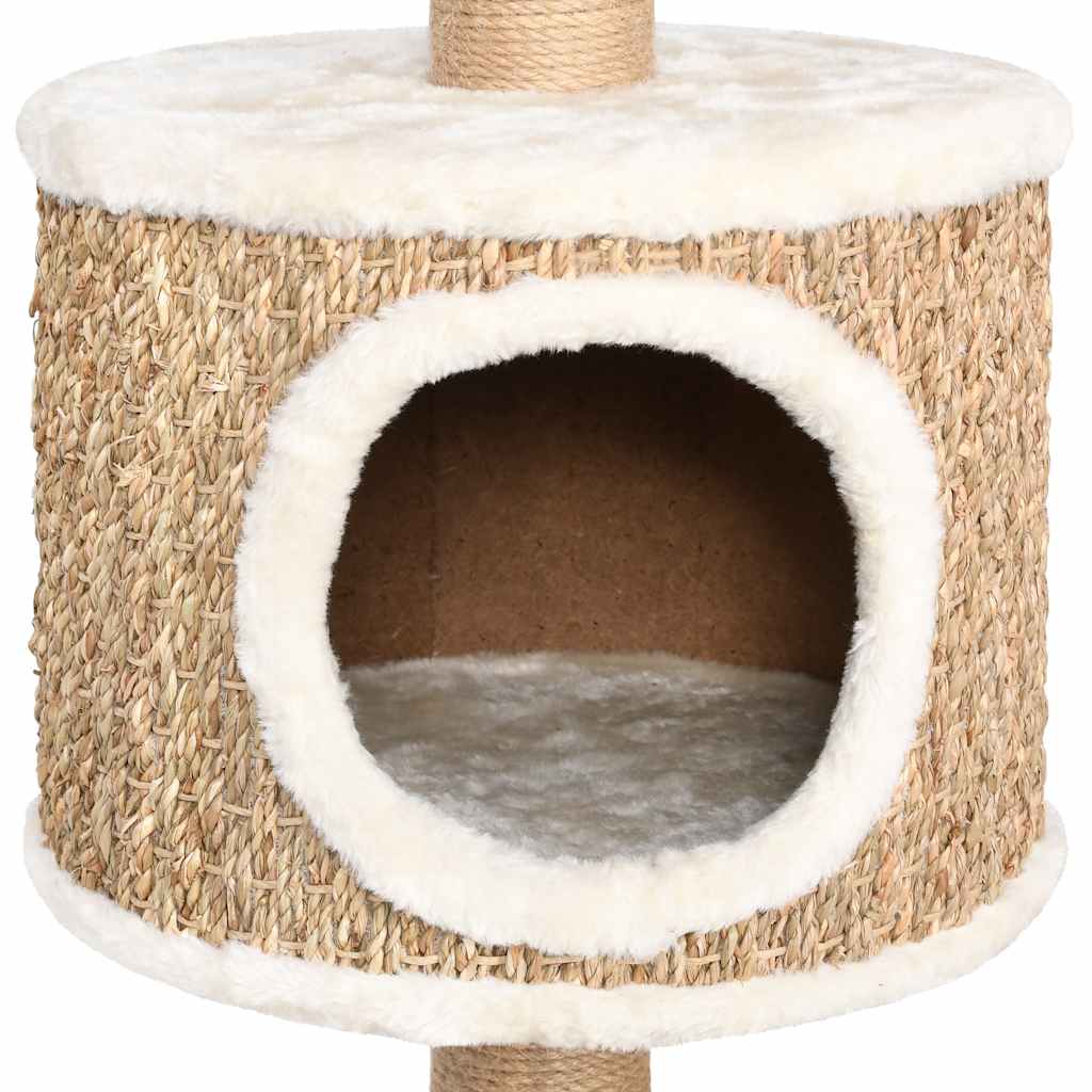 Klösträd med Klöspelare Sjögräs
