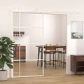 Skjutdörr ESG-glas och aluminium 102