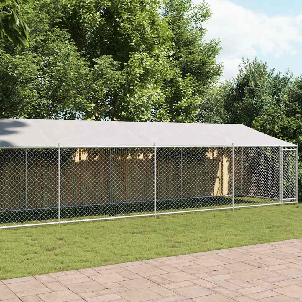 Hundgård Med Tak Och Dörr Galvaniserat