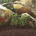 Lavagrus 10 Kg 1