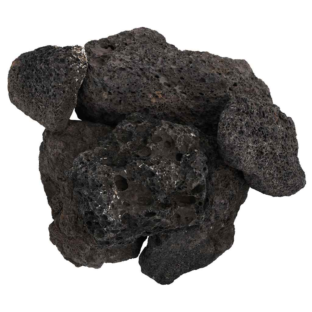 Lavagrus 10 Kg 10