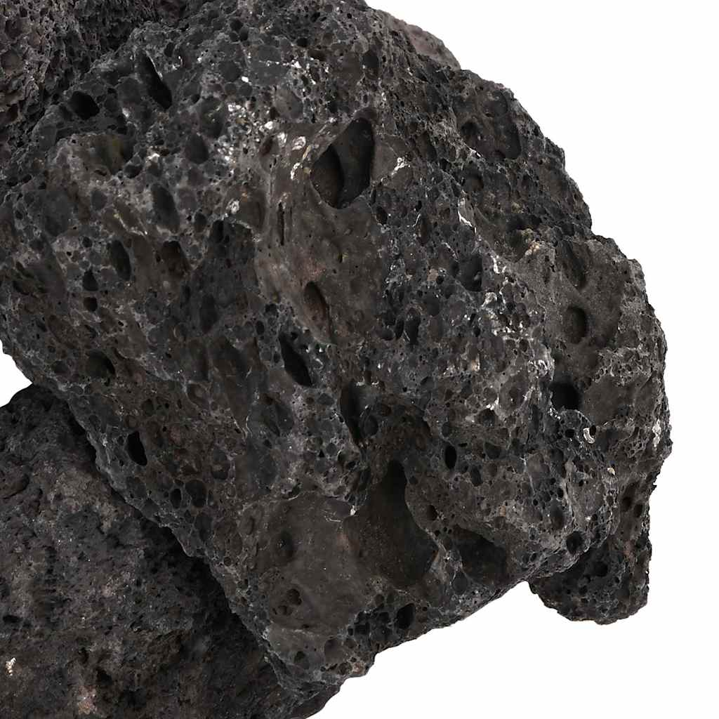 Lavagrus 10 Kg 10