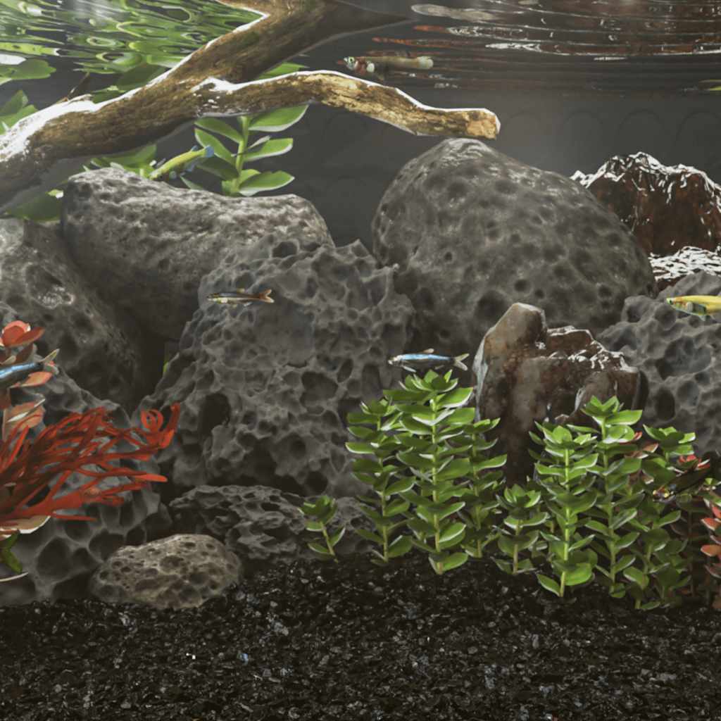 Lavagrus 10 Kg 10