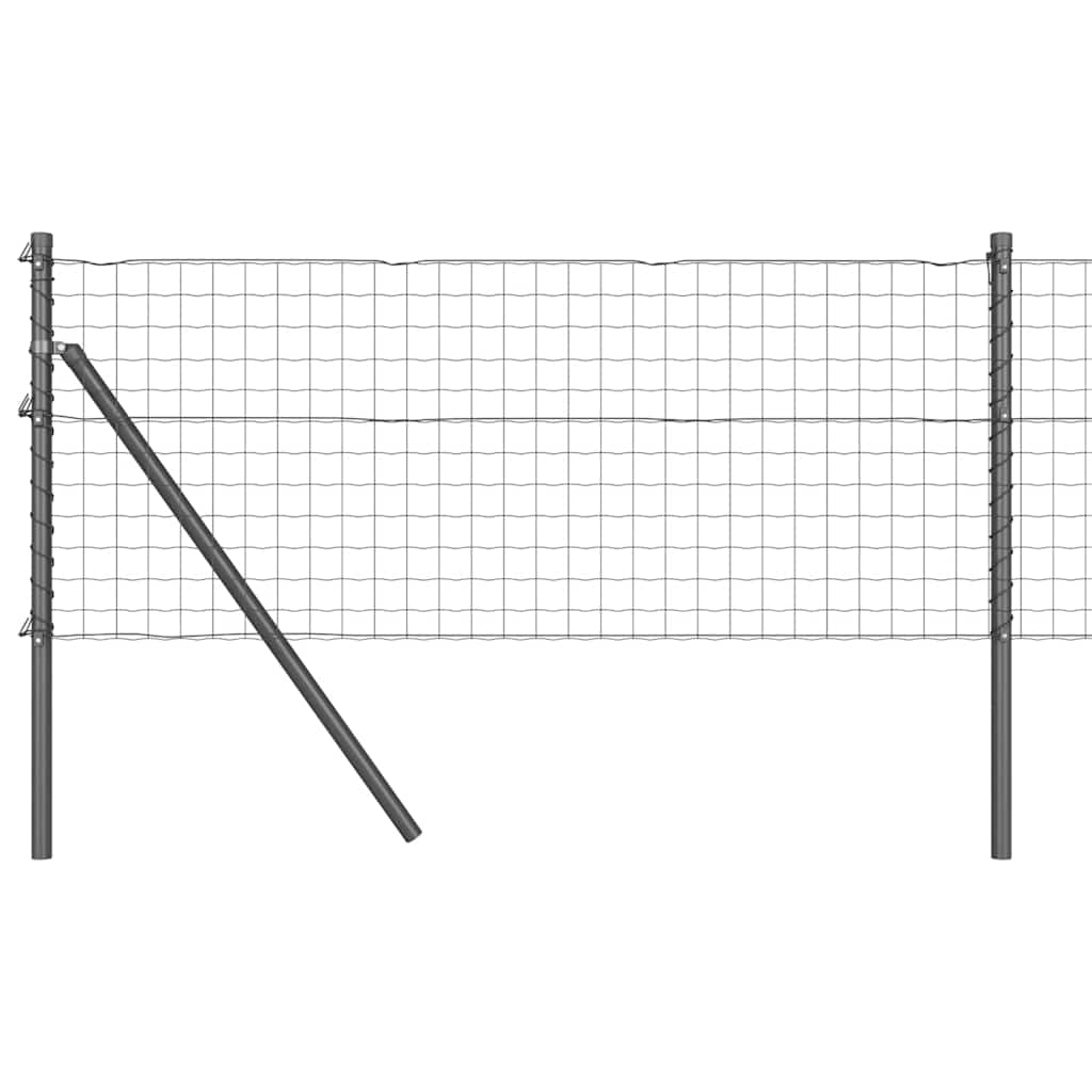 Utomhus Euro Zaorlarsgränd Belagda Mesh