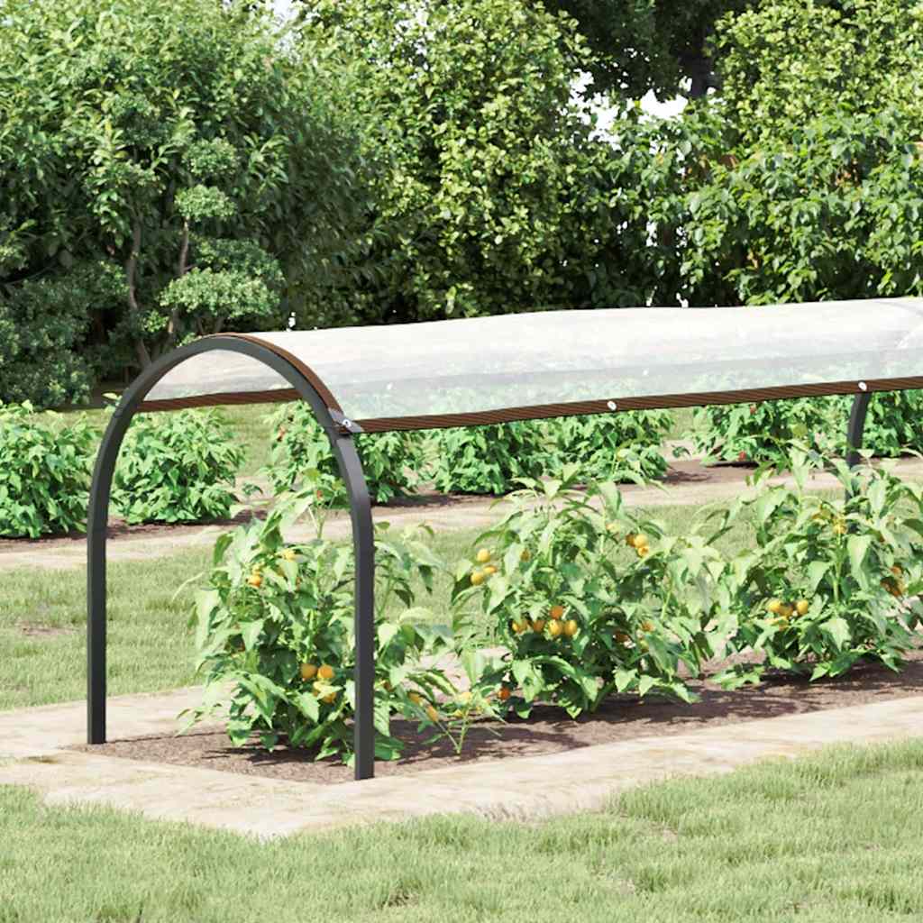 Klar Presenning med Öljetter Polyeten