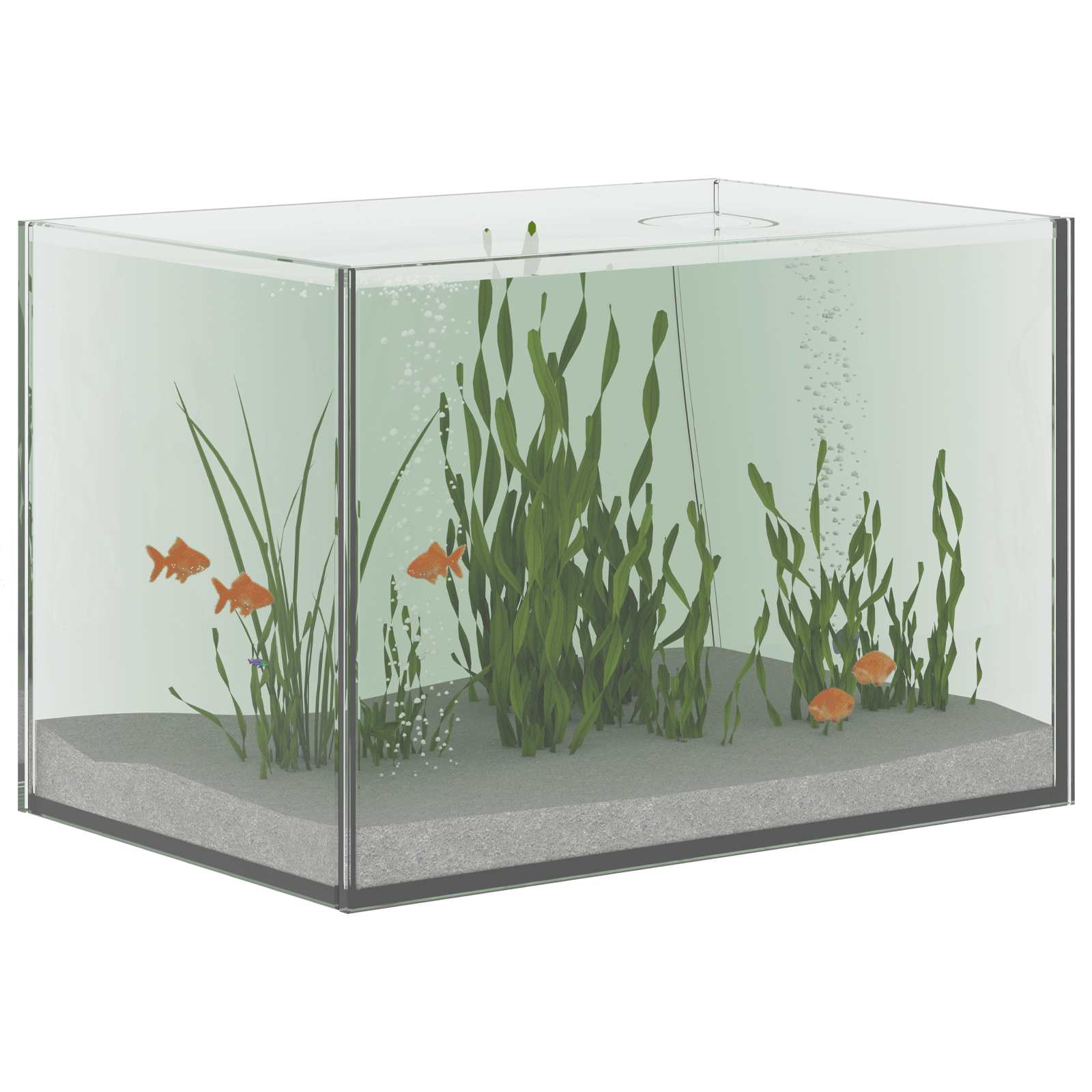 Akvarium Lagring