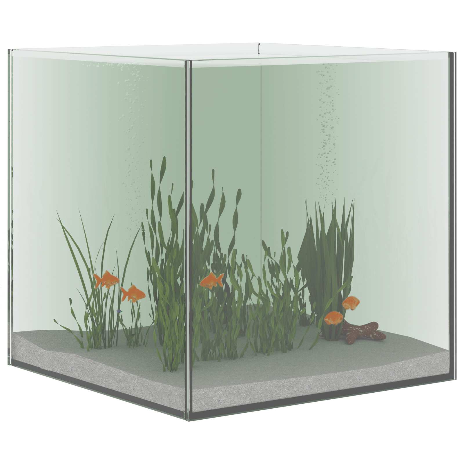 Akvarium Lagring