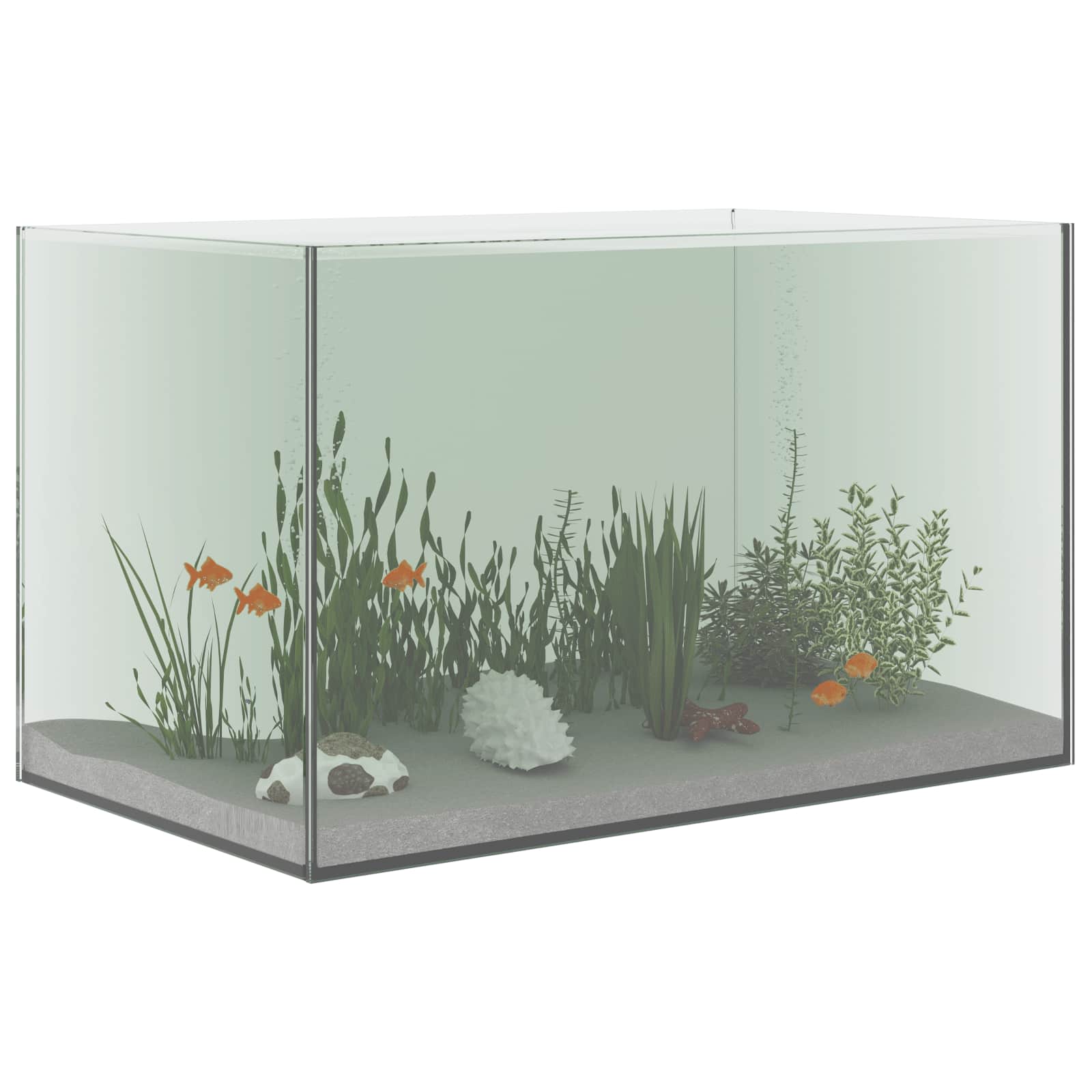 Akvarium Lagring