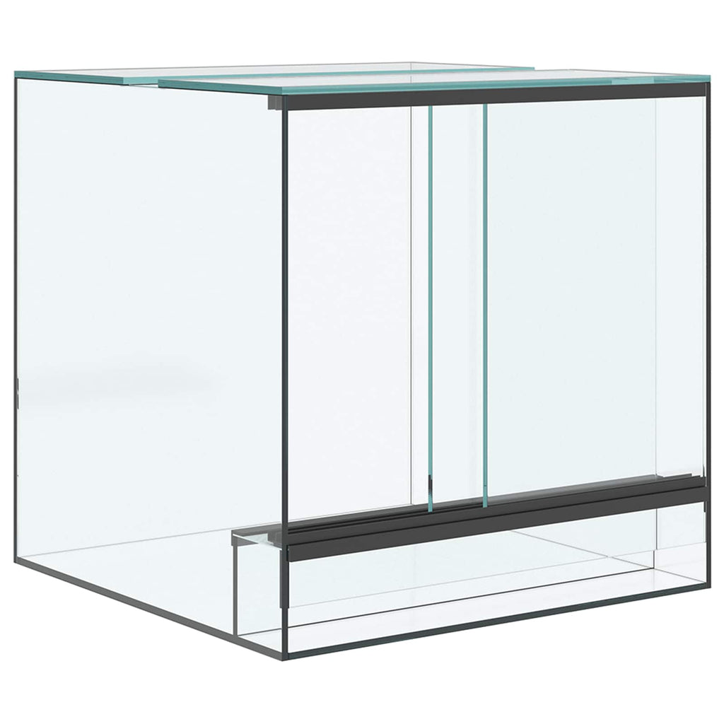 Terrarium Lagring Transparent Glas