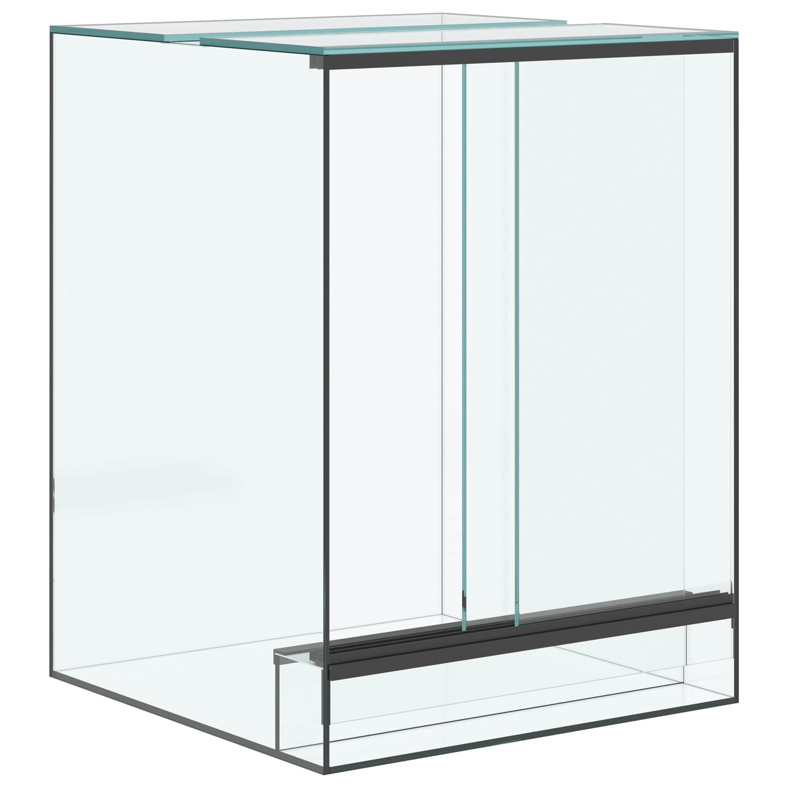 Terrarium Lagring Transparent Glas
