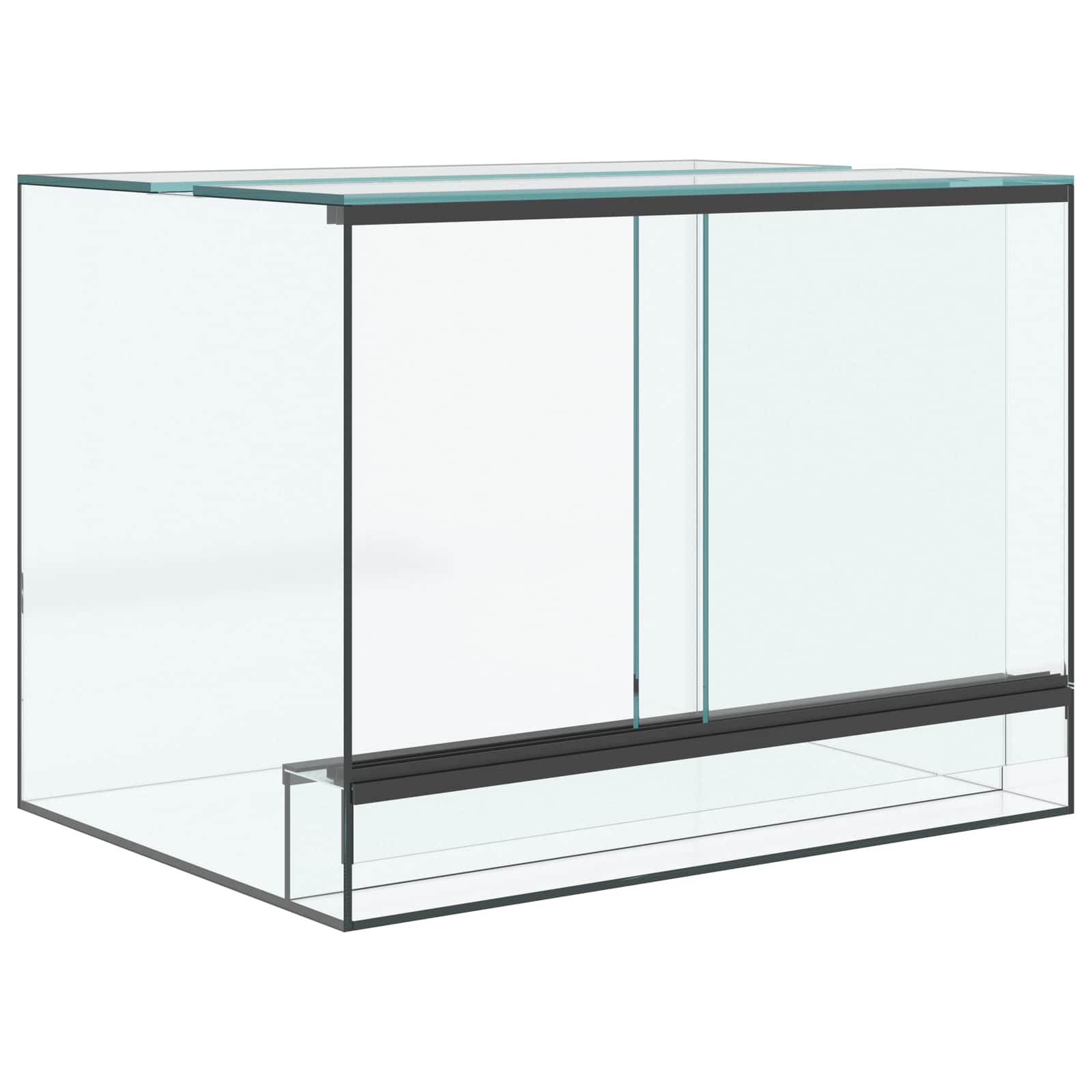 Terrarium Lagring Transparent Glas