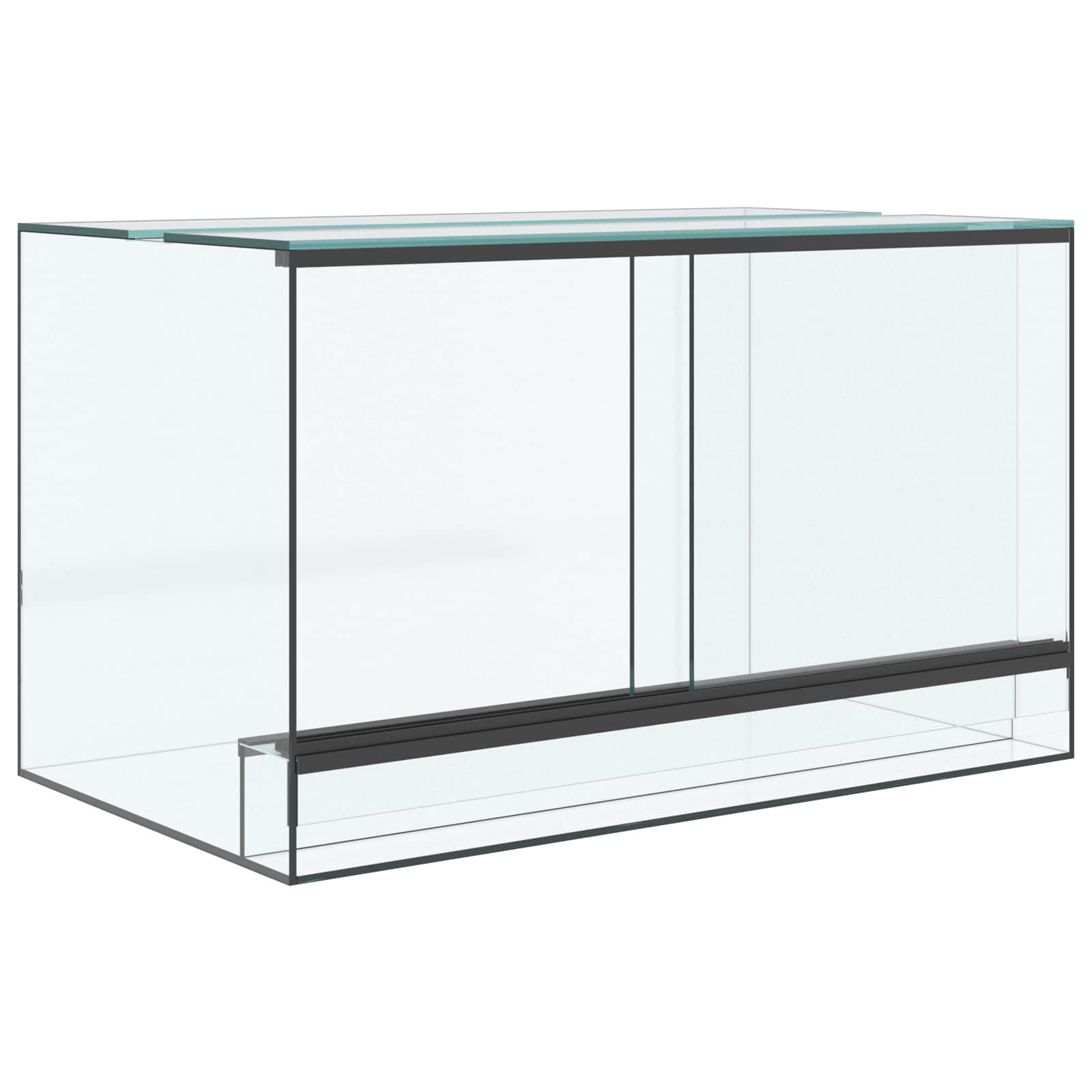 Terrarium Lagring Transparent Glas