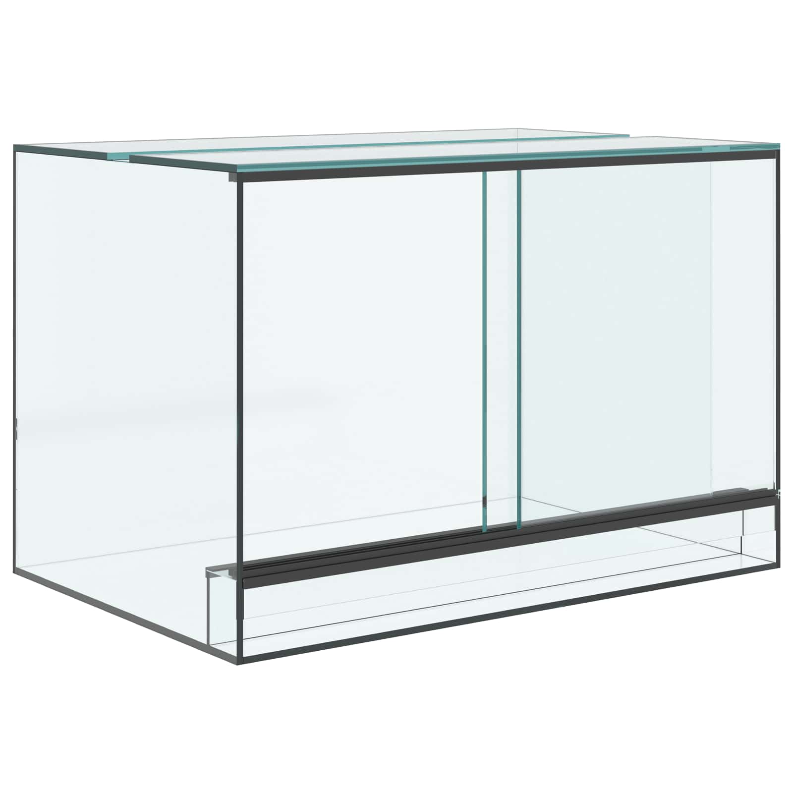 Terrarium Lagring Transparent Glas