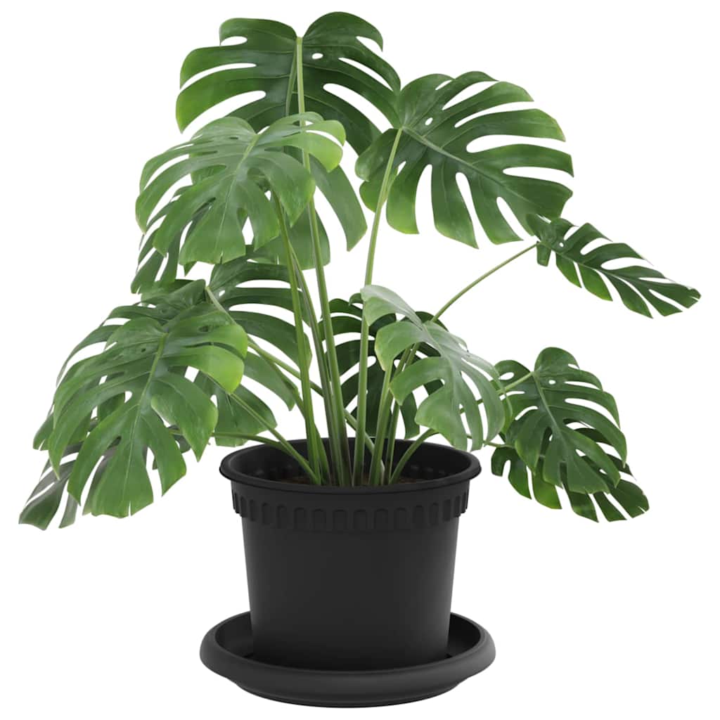 Växtkrukor 6 Pcs Svart Ø Plast